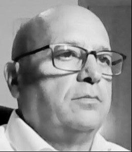 Luis F. Fernandez Martínez